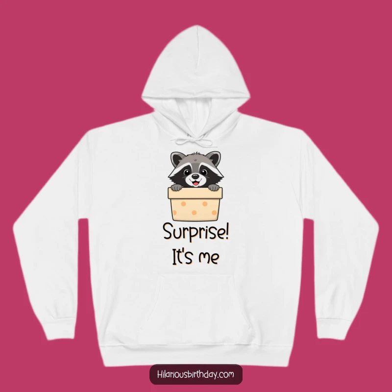 Funny Raccoon Gift Box Hoodie: Cozy & Hilarious Critter Apparel, Perfect Funny Gift!