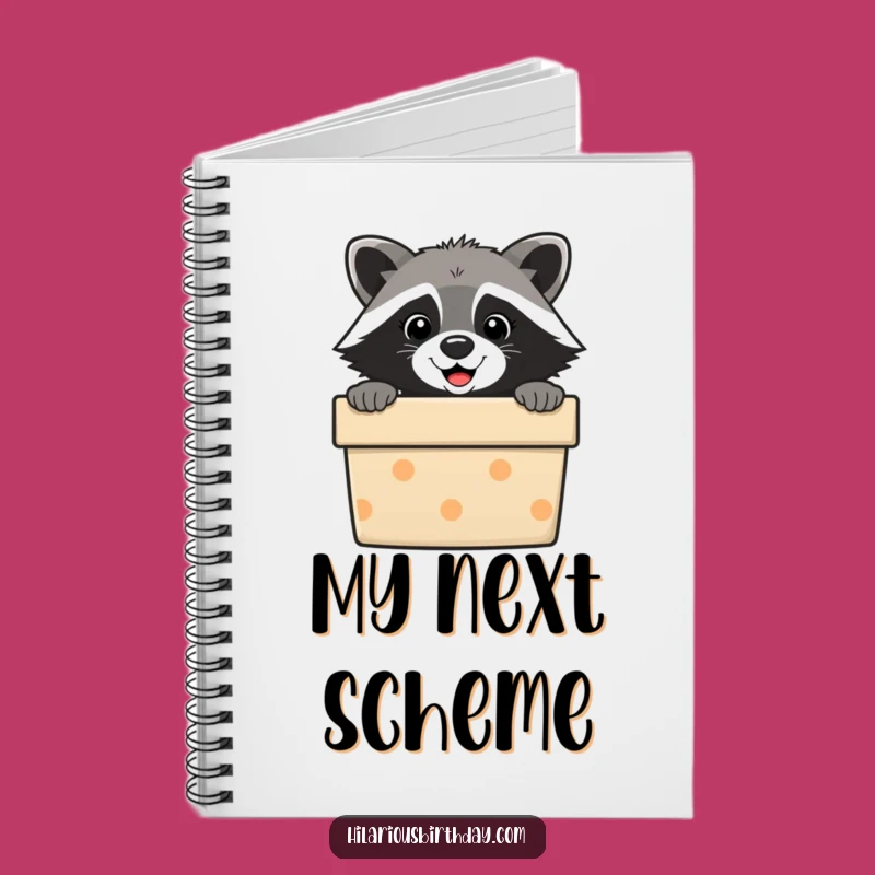 Funny Raccoon Gift Box Notebook: Jot Down Ideas with a Smile, Perfect Funny Gift!